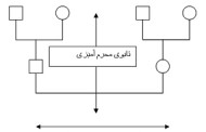نقش تابوی بیان احساسات در ساختار خانواده ایرانی :: رضا کاظم زاده