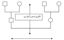 نقش تابوی بیان احساسات در ساختار خانواده ایرانی :: رضا کاظم زاده